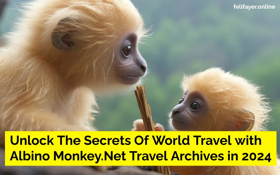 Albino Monkey.Net Travel Archives in 2024