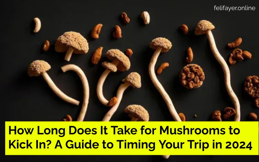 How Long Does It Take for Mushrooms to Kick In