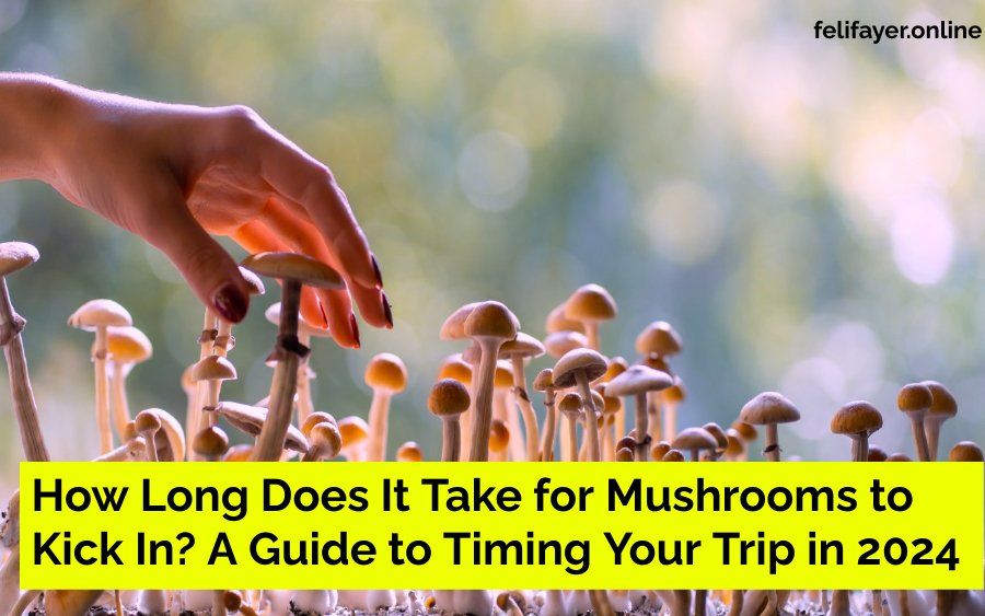 How Long Does It Take for Mushrooms to Kick In