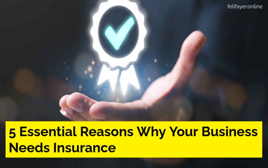 5 Essential Reasons Why Your Business Needs Insurance